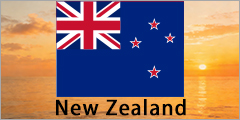 New Zealand valve