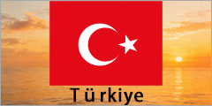 Türkiye valve