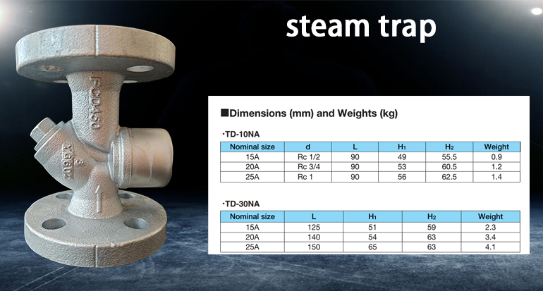 TD-10NA steam trap