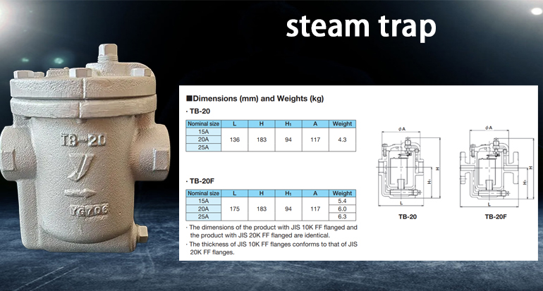 TB-20 steam trap