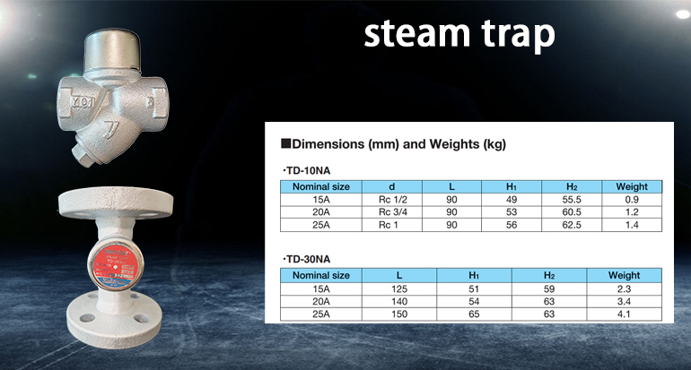 TD-10NA steam trap