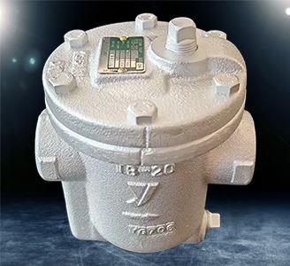 TB-20 steam trap