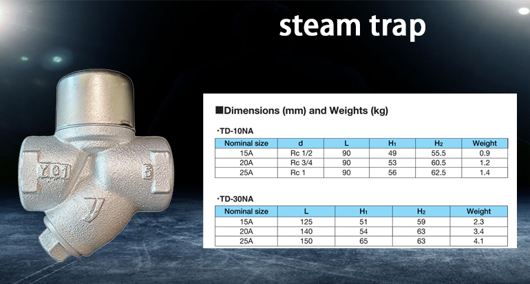 TD-10NA steam trap